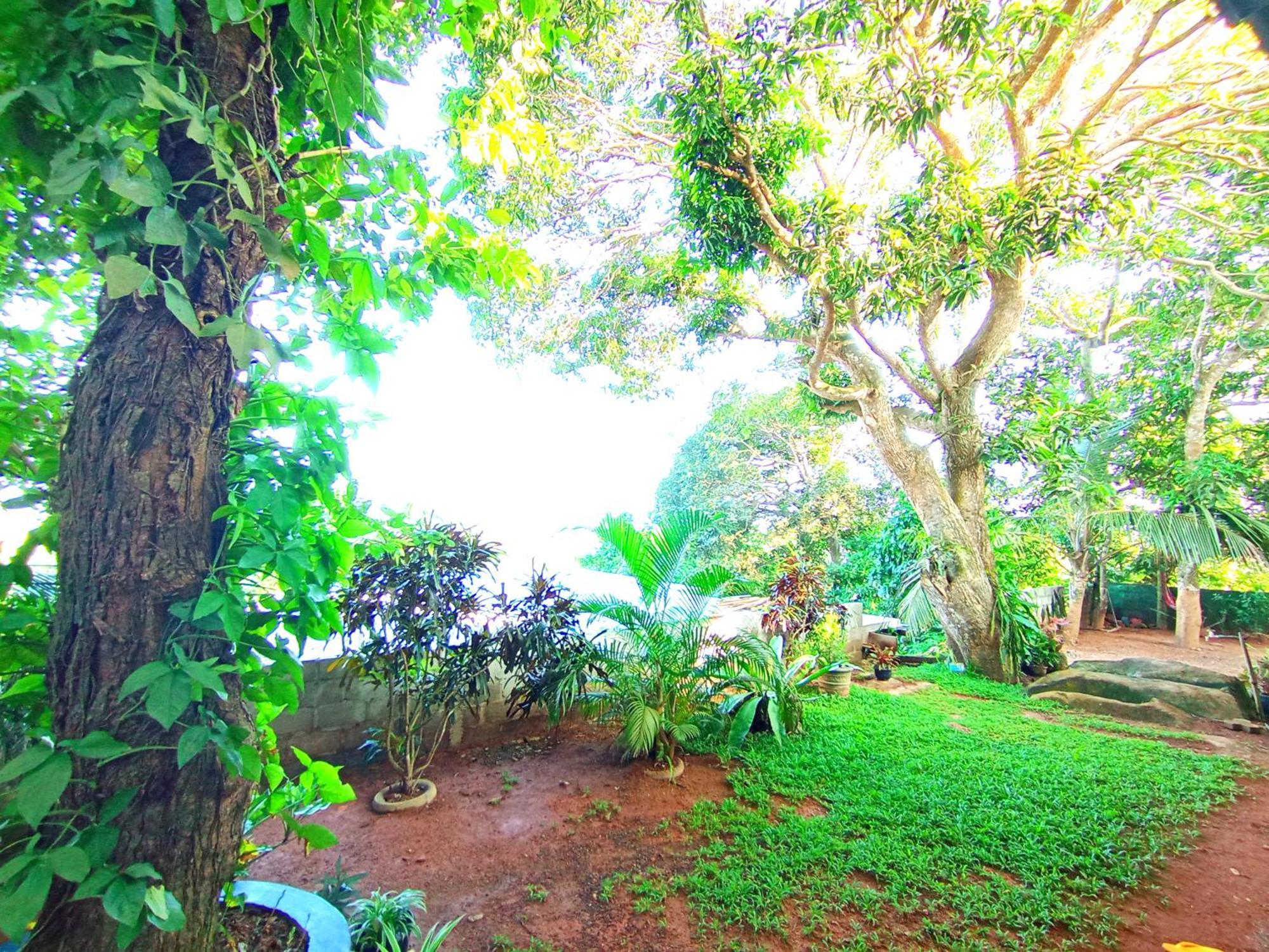 Sasaa Guest House Mirissa Exterior foto
