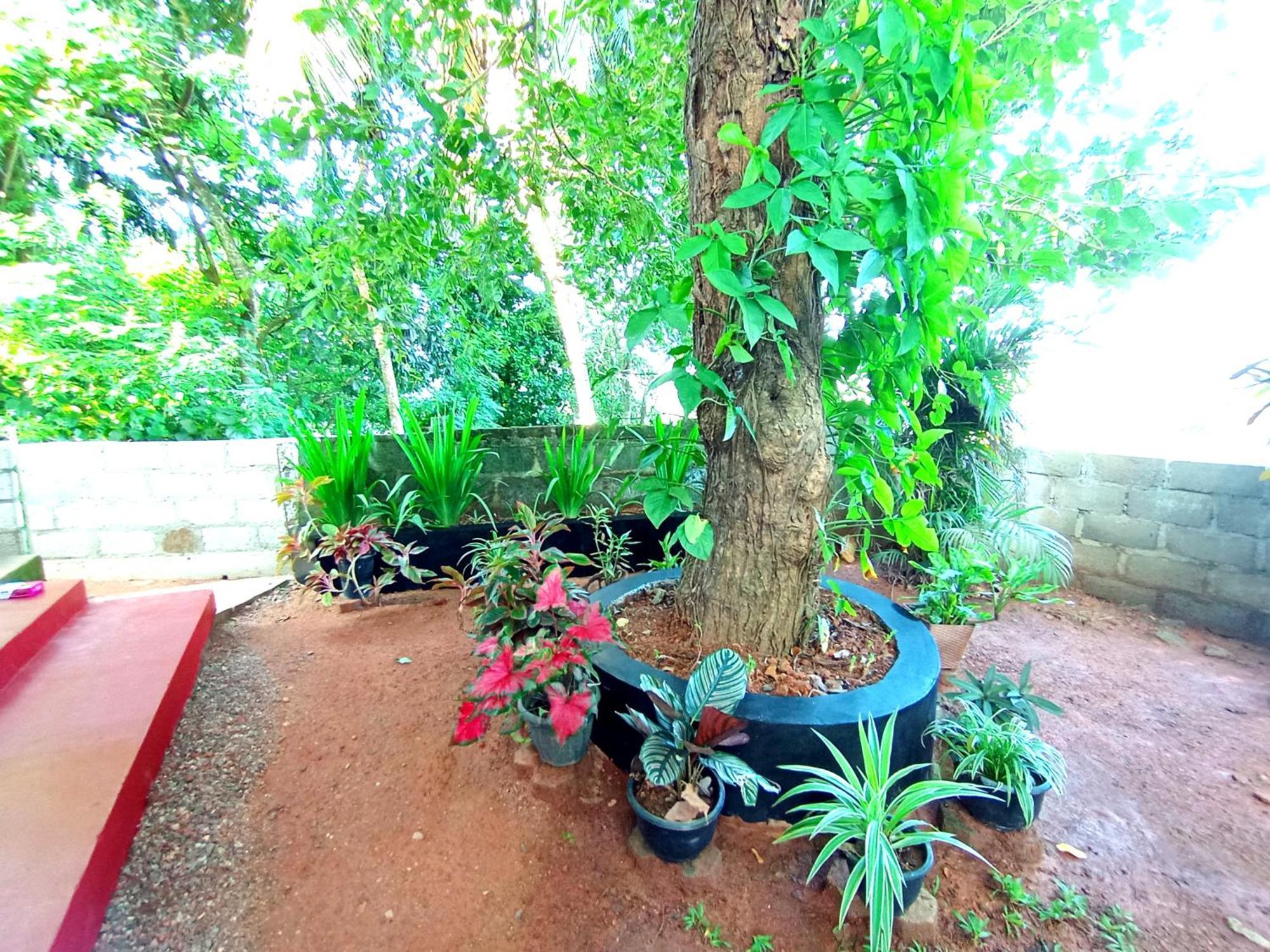 Sasaa Guest House Mirissa Exterior foto